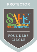 SAFE Logo