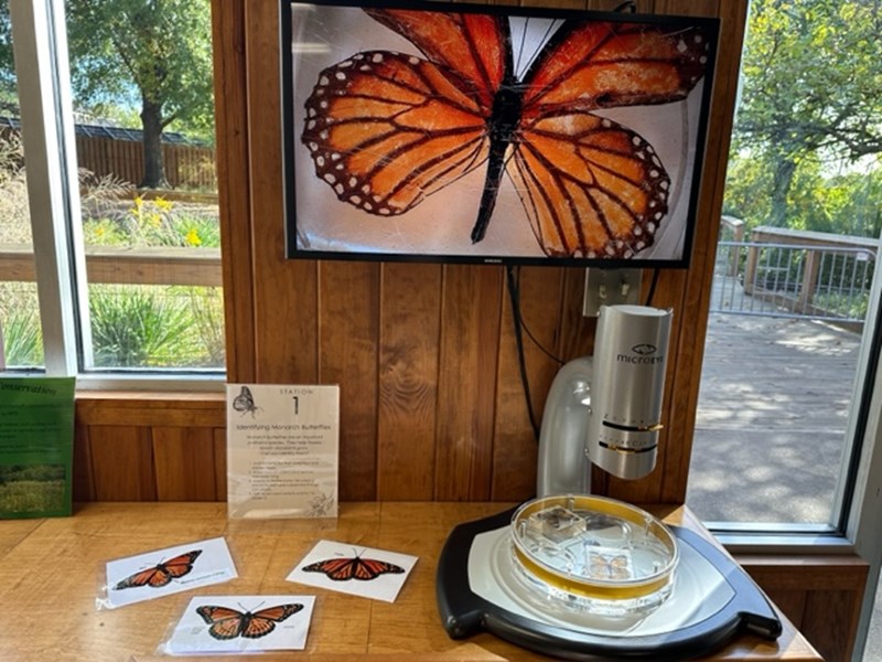 Leaning station in the Citizen Science Center