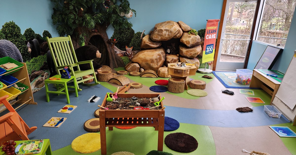 Leaning station in the Citizen Science Center