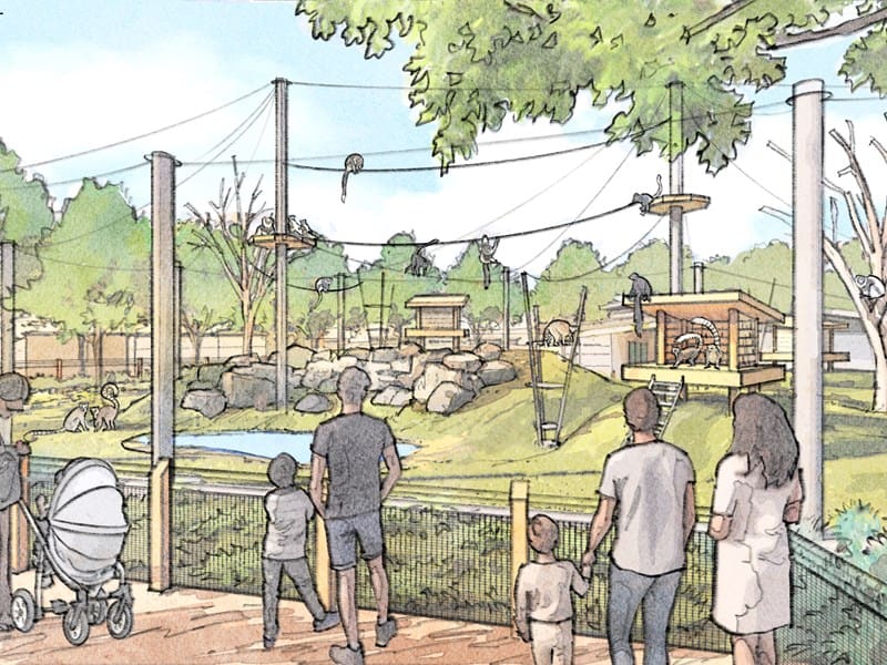 Project Zoo Rendering