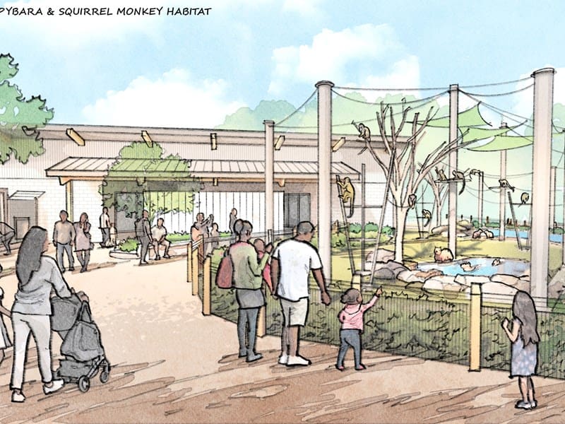 Project Zoo Rendering