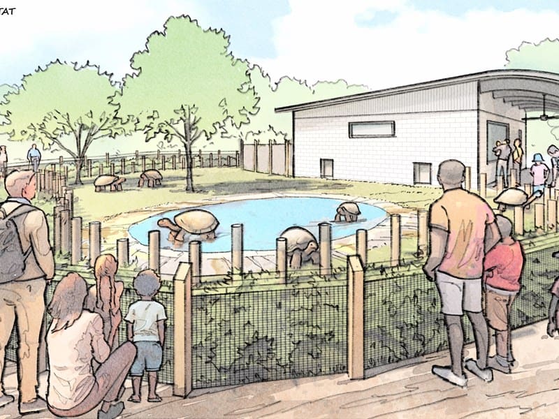 Project Zoo Rendering