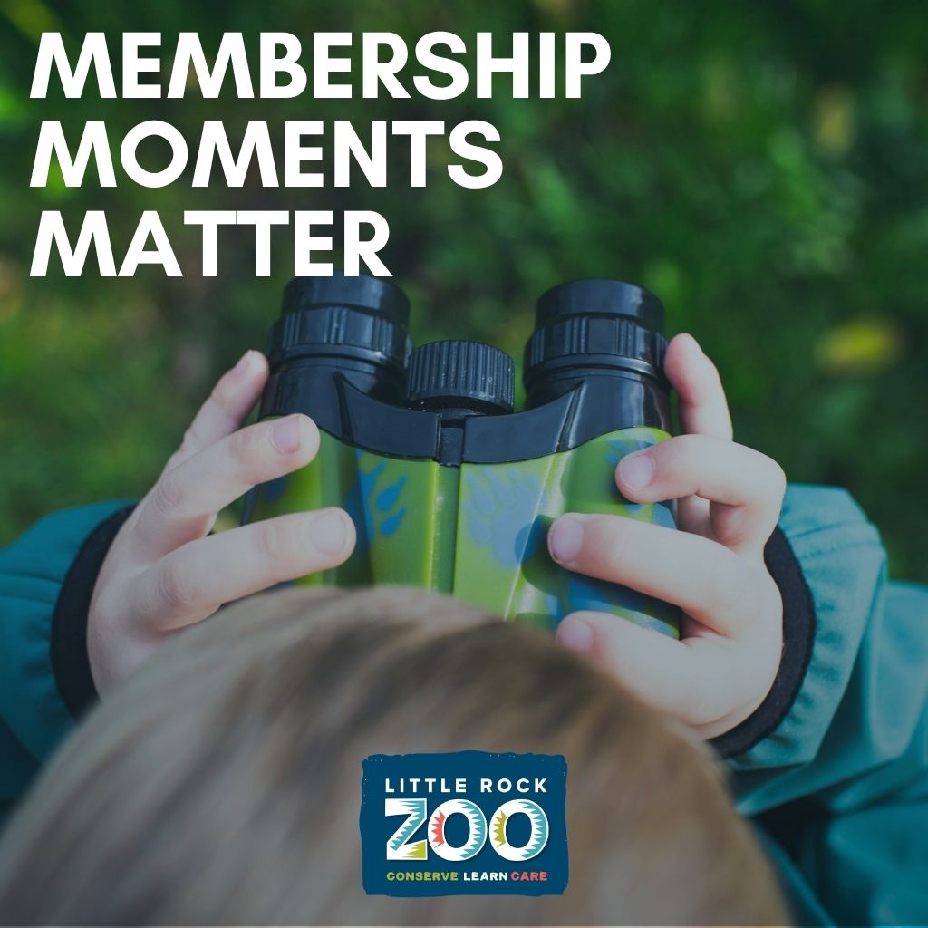 Memberships