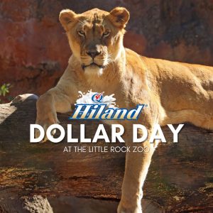 Hiland Dollar Day