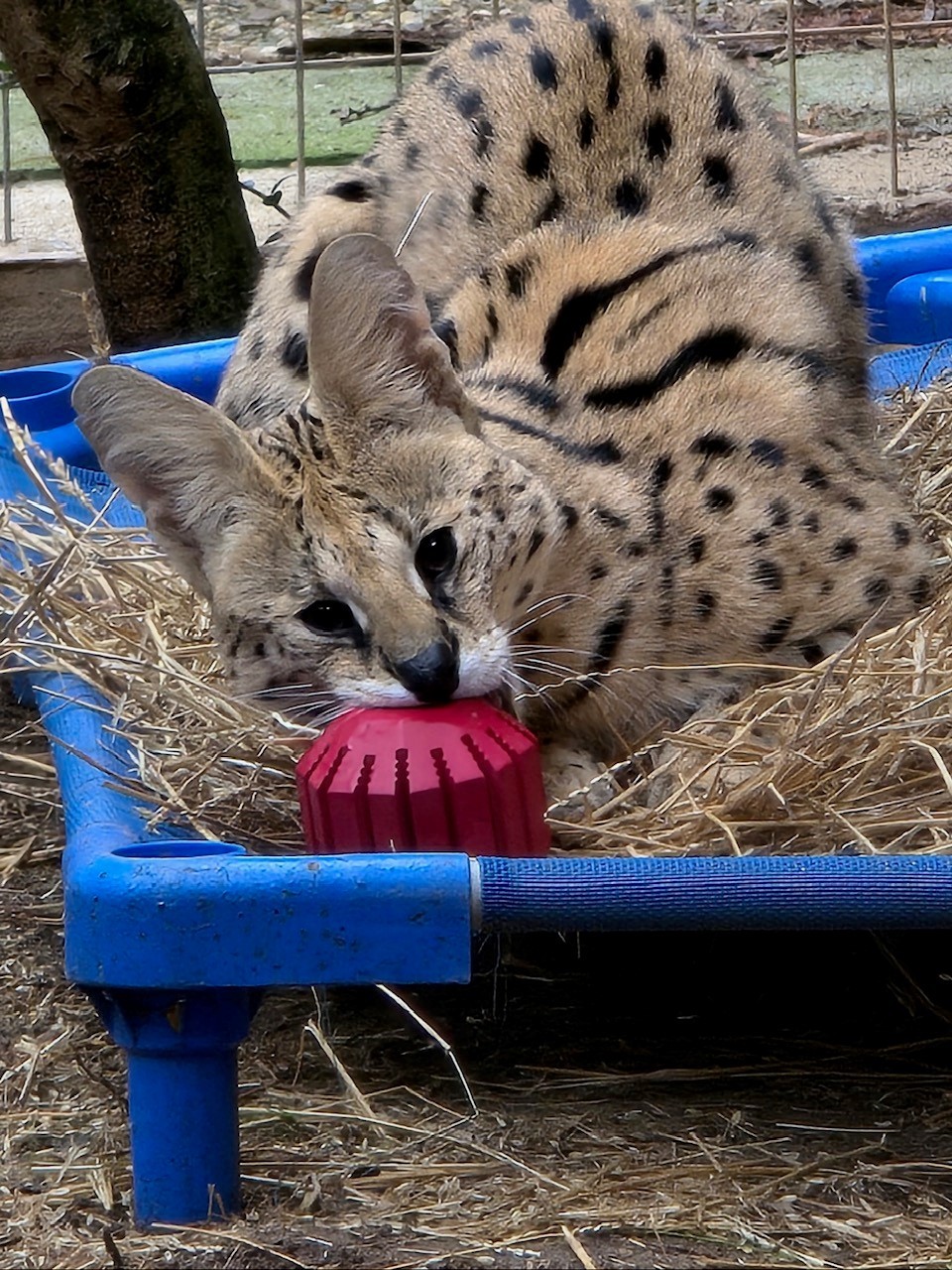 2022 Enrichment Donations