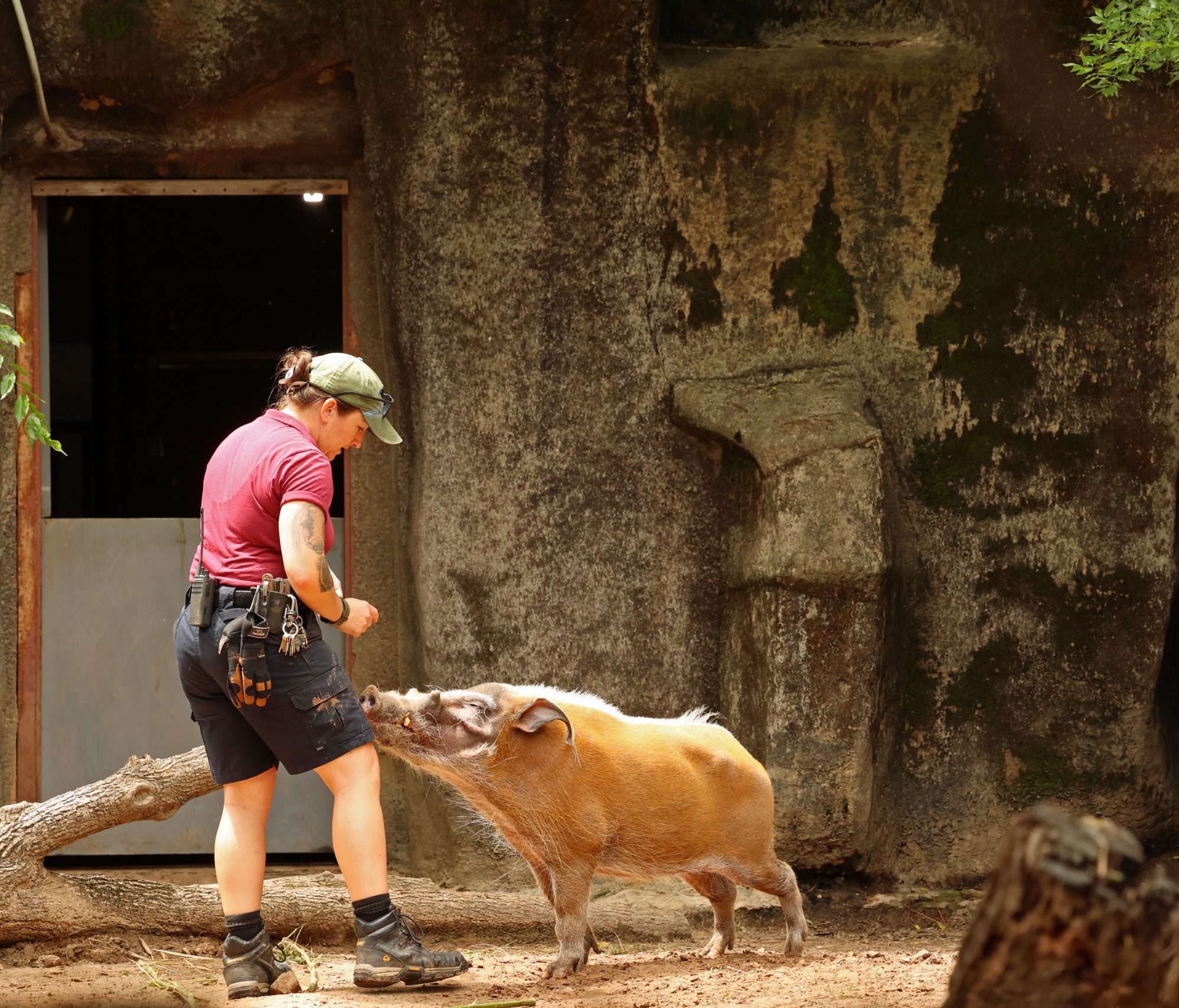 Keeper with Alpaca
