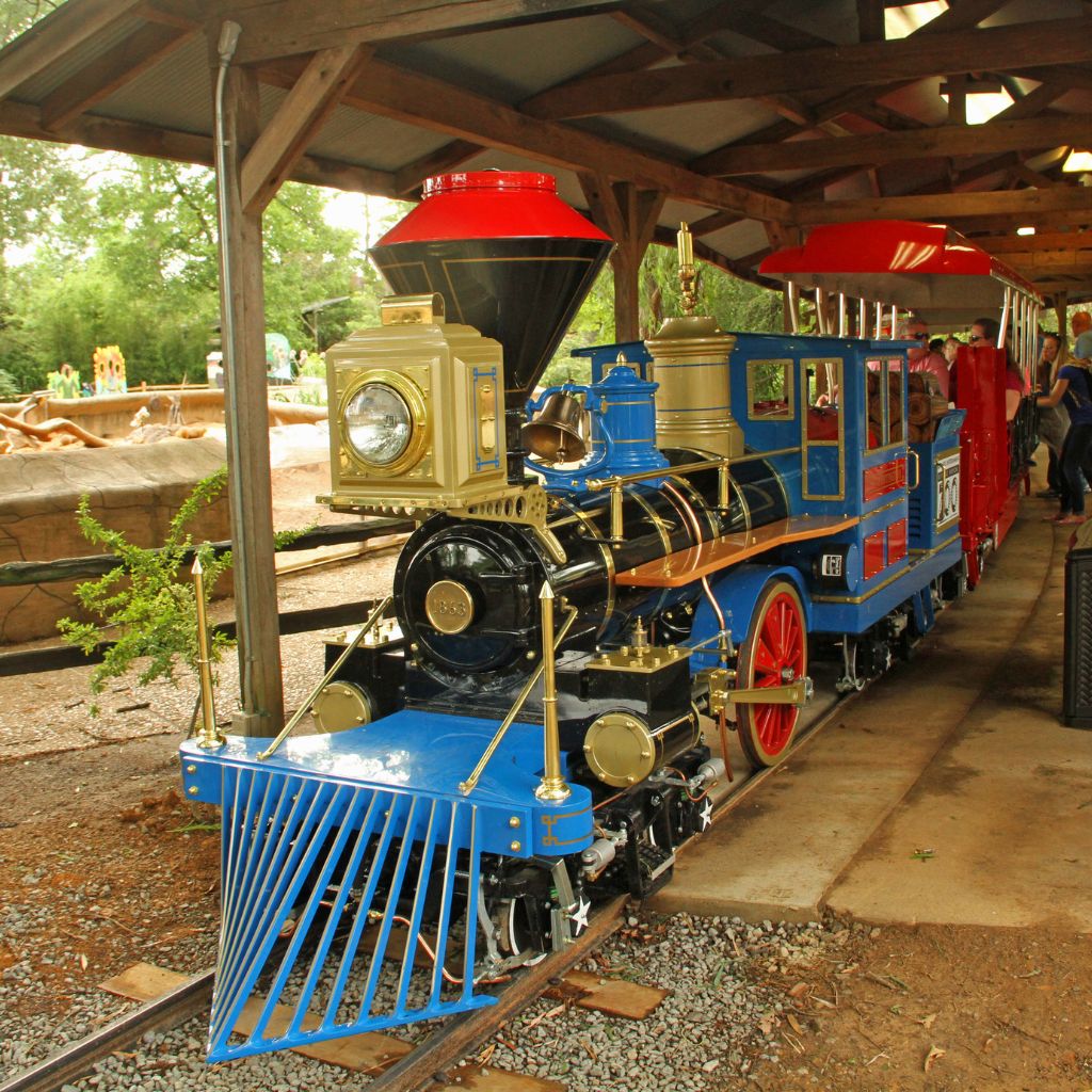 People riding the Train