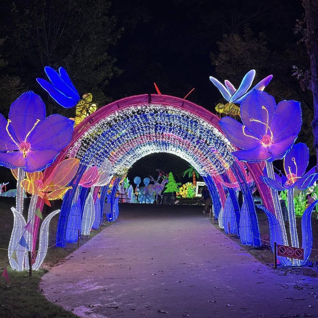 GloWild 2024 Wings Photo Op
